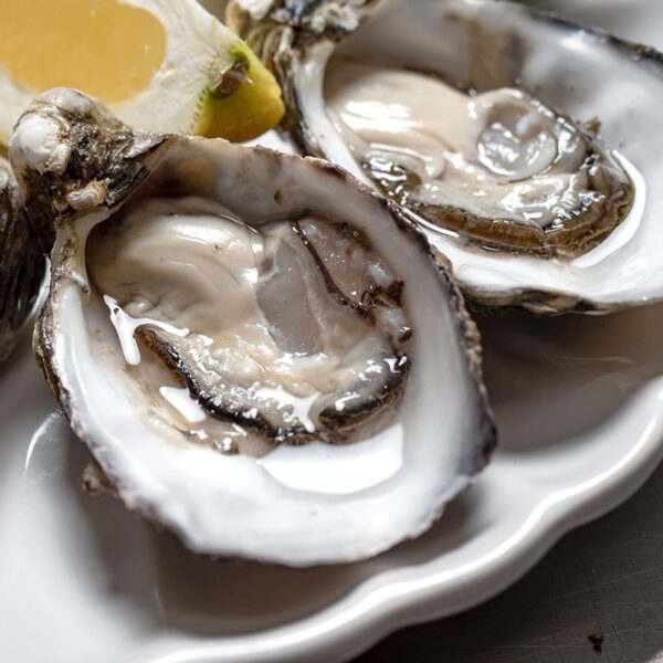 Fresh Streaky Bay Oysters - Fergs Fish